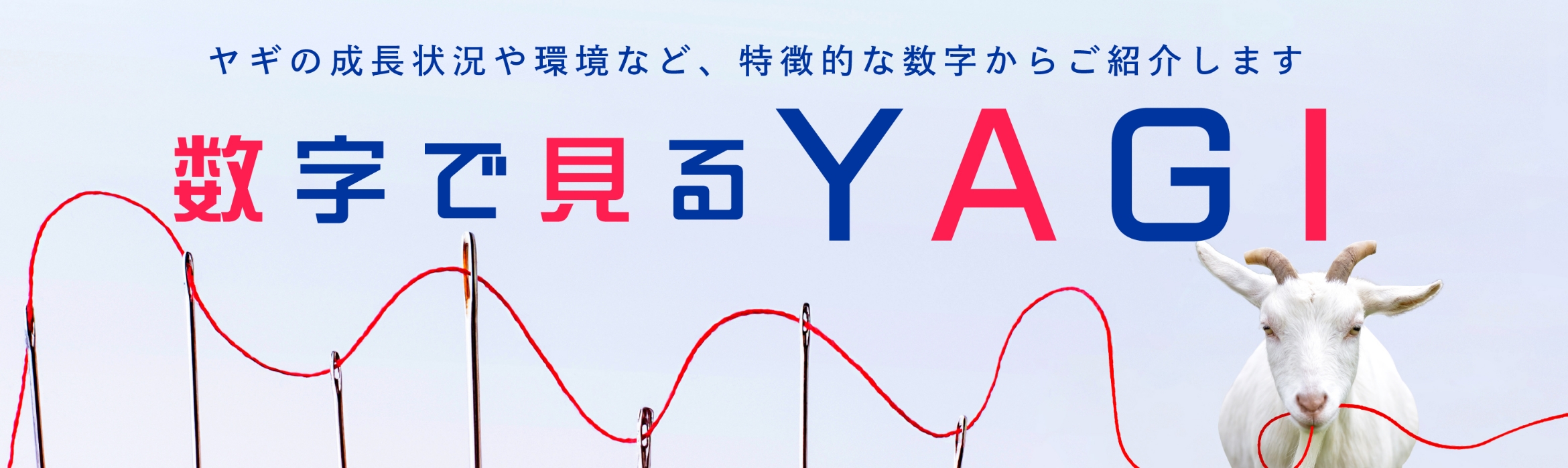 数字で見るヤギ